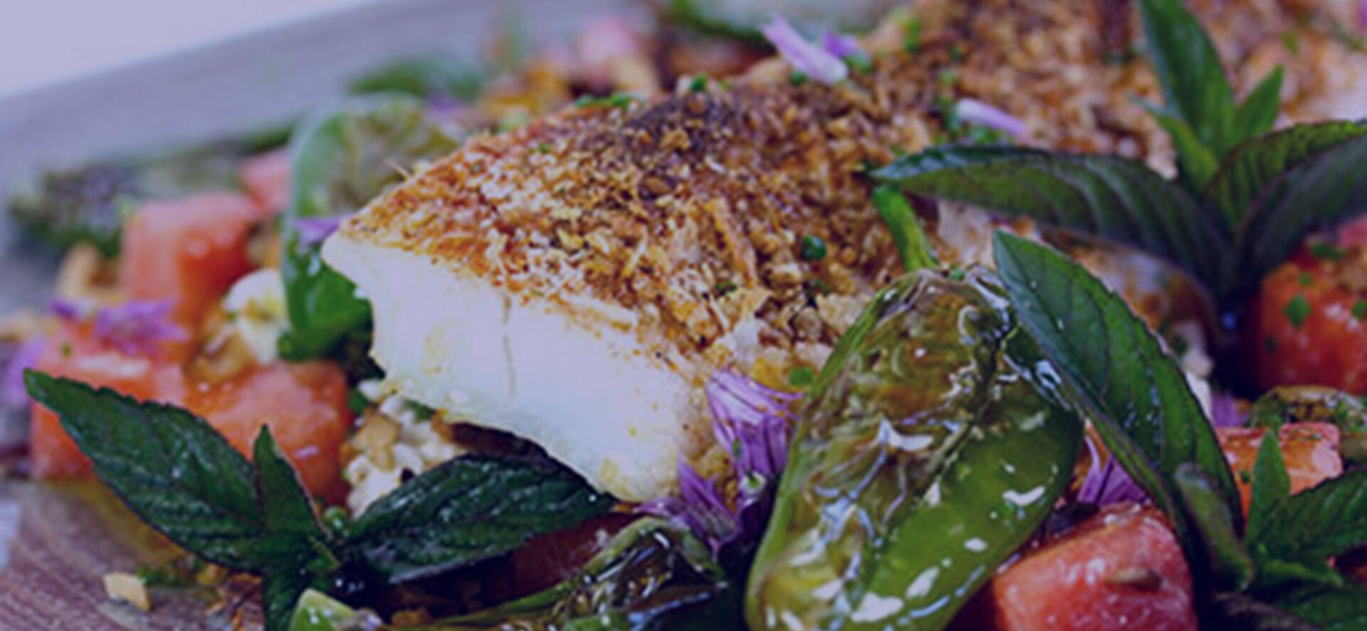 Måltidskasser fra Skagenfood giver gode fiskeoplevelser