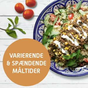 Billede af Måltidskasse fra Skagenfood