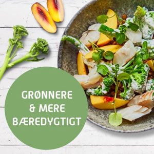 Billede af Måltidskasse fra Skagenfood