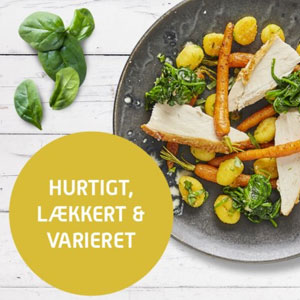Billede af Måltidskasse fra Skagenfood