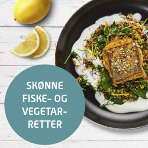 Billede af Måltidskasse fra Skagenfood