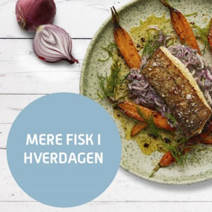 Billede af Måltidskasse fra Skagenfood