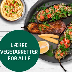 Billede af Måltidskasse fra Skagenfood